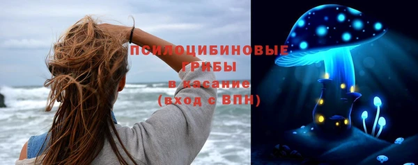 дурь Волоколамск