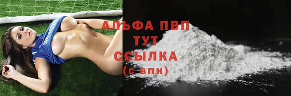 стаф Володарск