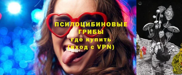 стаф Володарск