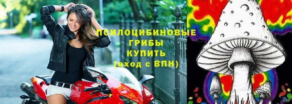 стаф Володарск